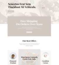 jeweller website design